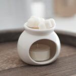 Wax Melts Ropa Limpia Brisa de Lavandería