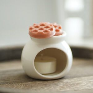 Wax Melts Galleta María