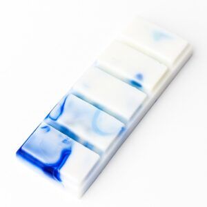 Snap Bar Petricor - Wax Melt