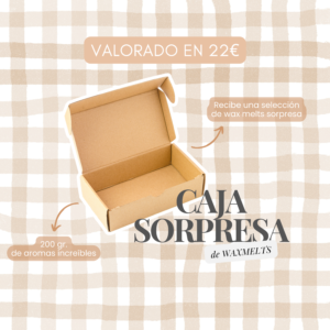 caja sorpresa de wax melts valorada en 22€. Compuesta por 200gr de wax melts al azar.