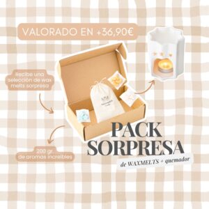 Caja sorpresa de Wax Melts y Quemador