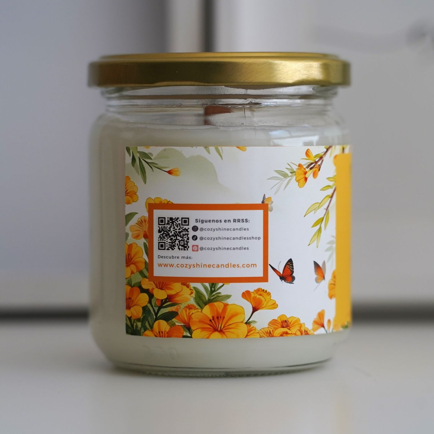 Vela Citronela - Verano sin Alas - Imagen 5