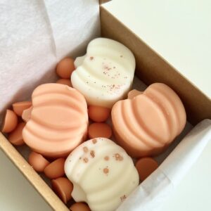 Wax Melts Pumpkin Spice - Calabaza Especiada