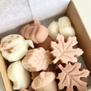 Wax Melts Abrazo de Otoño - Vainilla y Maderas