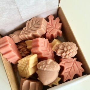 Wax Melts Bosque Otoñal - Petricor, Canela, Naranja y Maderas