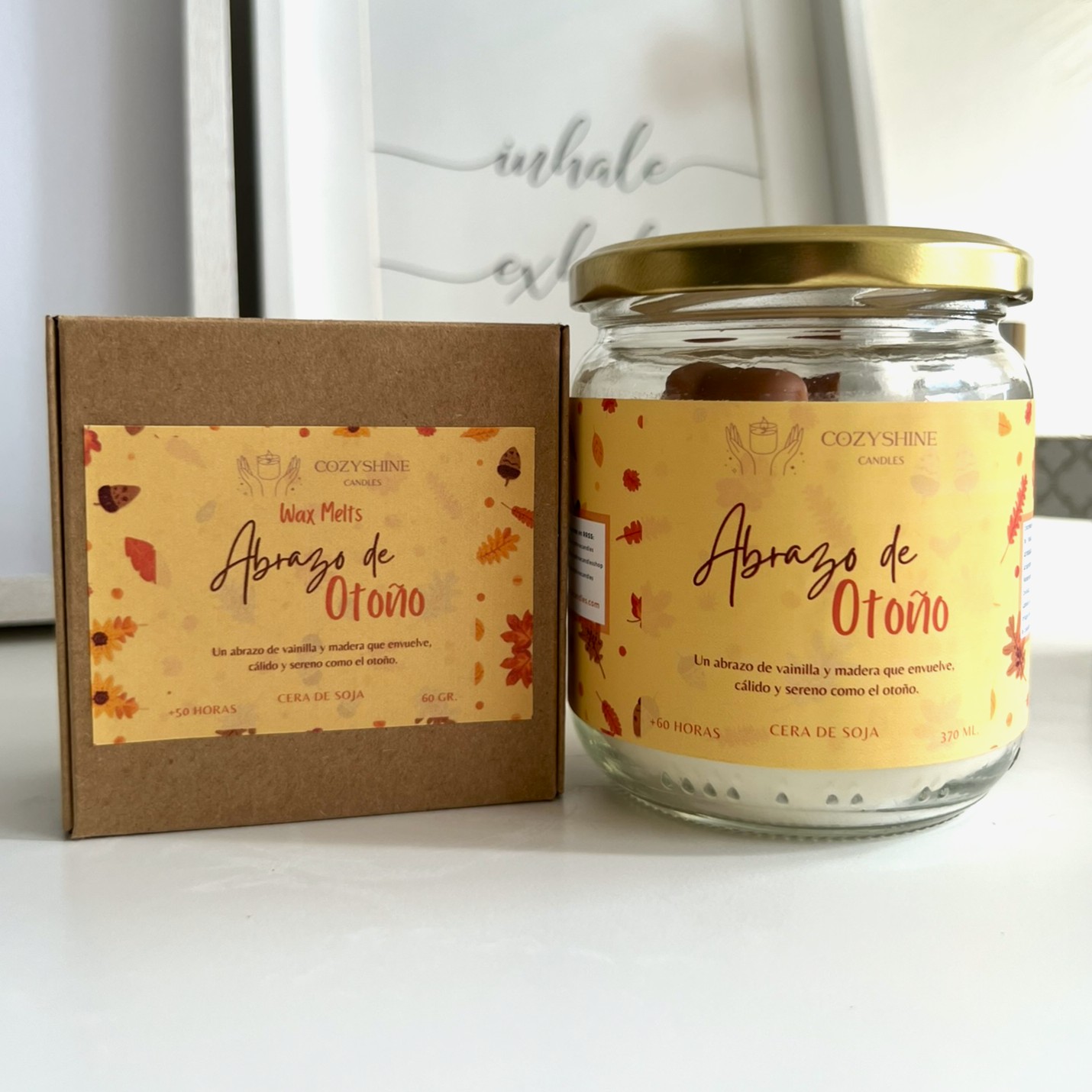 Pack Abrazo de Otoño – Vainilla y Maderas - Vela y Wax Melts