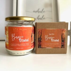 Pack Bosque Otoñal – Petricor, Canela, Naranja y Maderas - Vela y Wax Melts