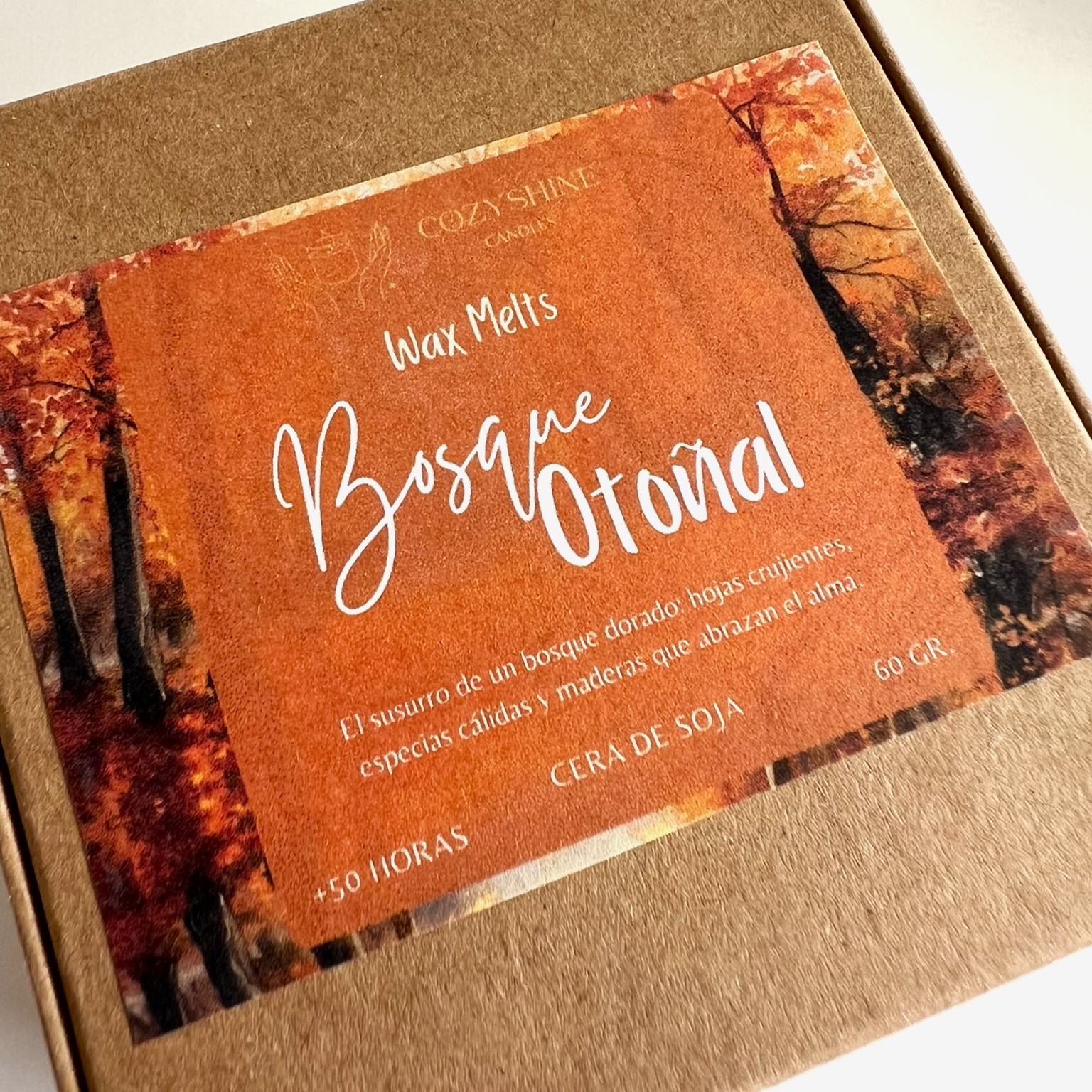 Pack Colección Otoño – 4 Wax Melts Aromáticos - Imagen 4