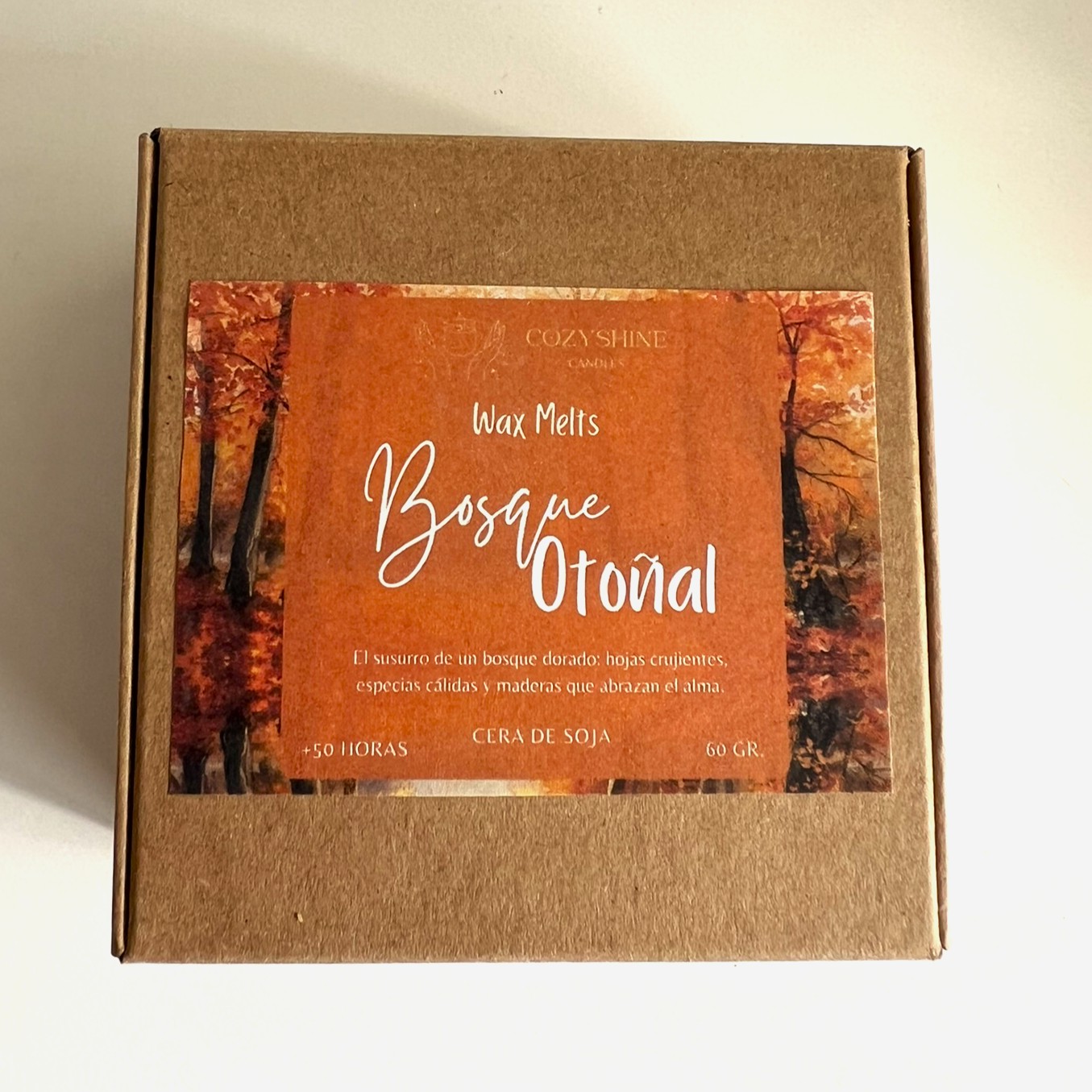 Wax Melts Bosque Otoñal - Petricor, Canela, Naranja y Maderas - Imagen 3