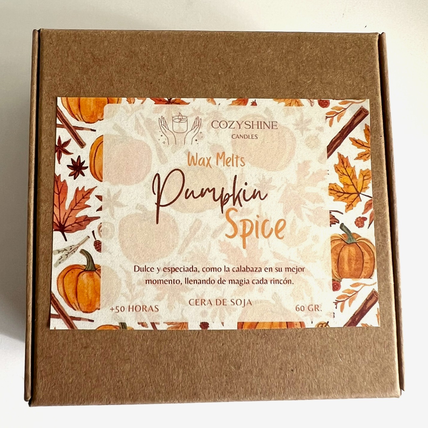 Wax Melts Pumpkin Spice - Calabaza Especiada - Imagen 3