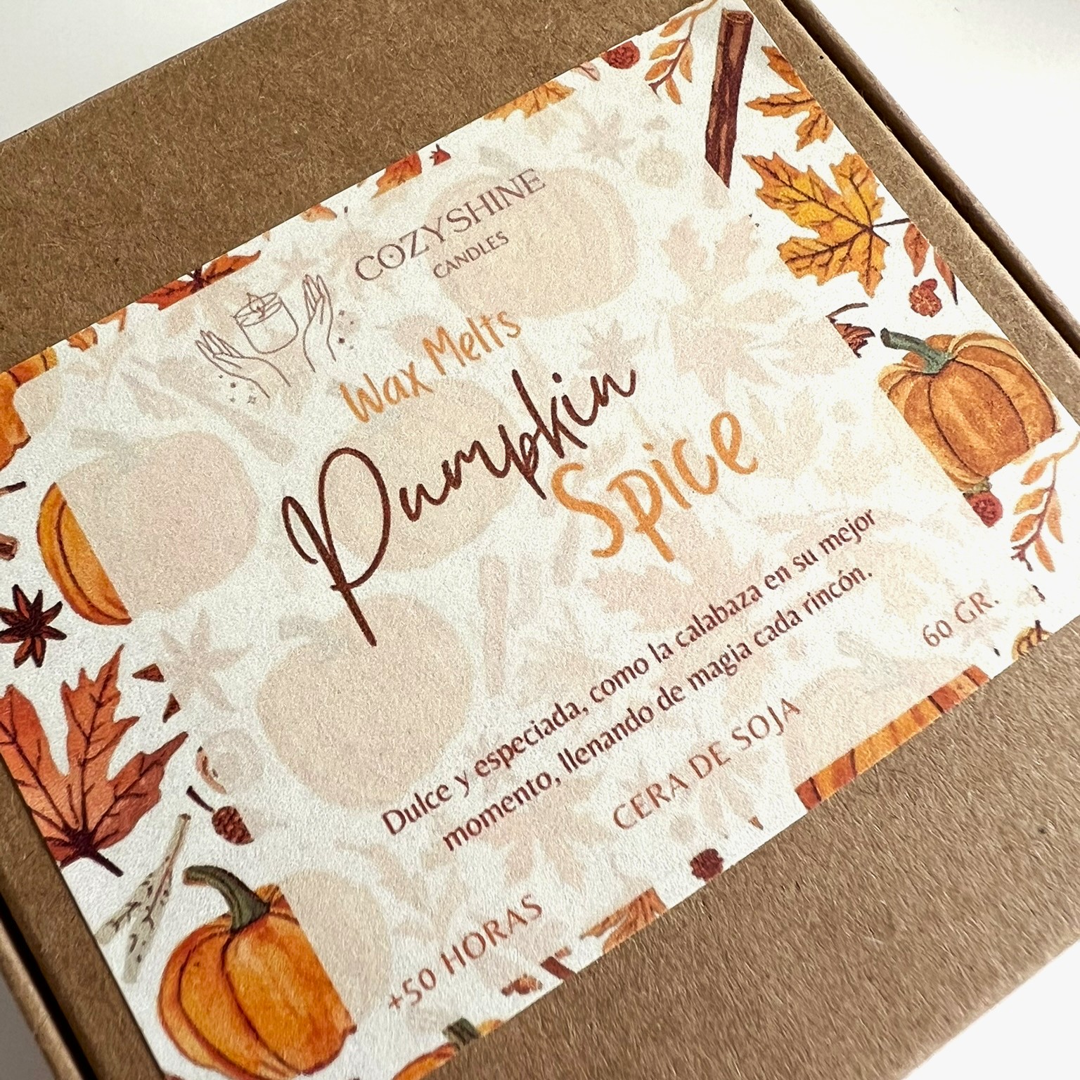 Wax Melts Pumpkin Spice - Calabaza Especiada - Imagen 2