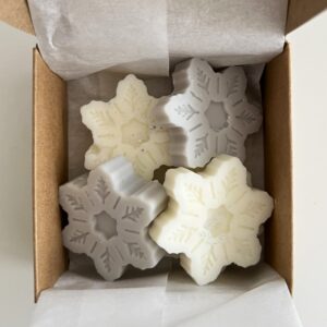 Wax Melts Invierno Eterno - Floral y Maderas