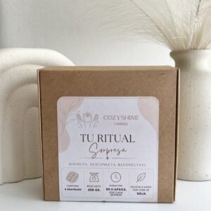 Pack Sorpresa 6 Snapbars - Wax Melt