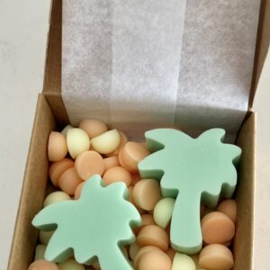 Wax Melts Isla Escondida - Mango y Thai Lime