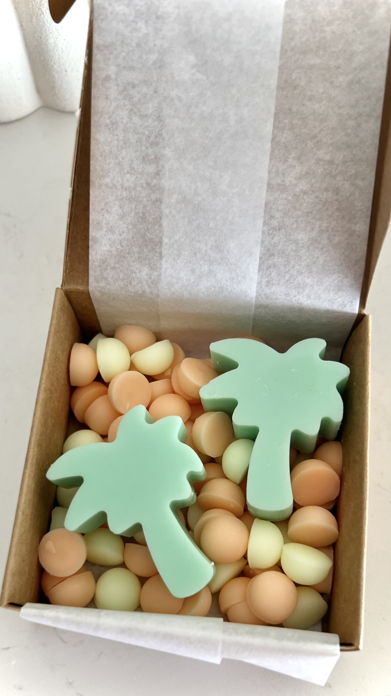 Pack Postales de Verano - Wax Melts - Imagen 6