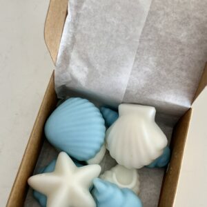 Wax Melts Piel Salada - Marino, Coco y Cítricos