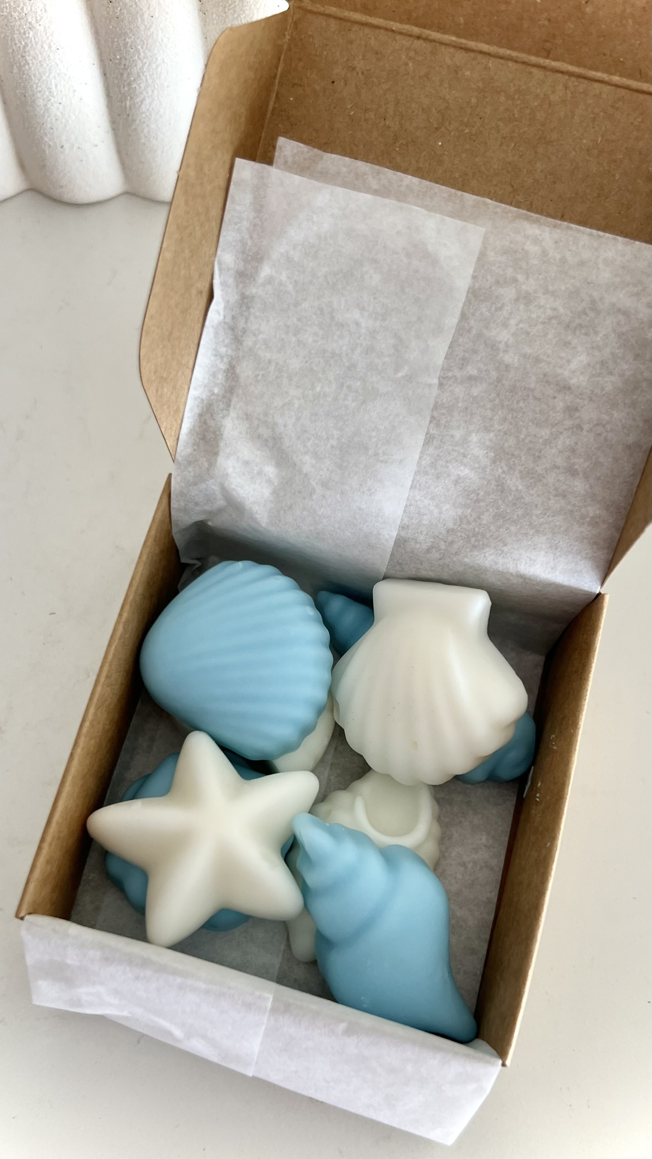 Pack Postales de Verano - Wax Melts - Imagen 5