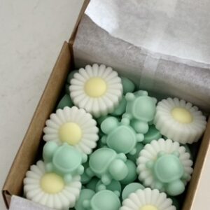 Wax Melts Mañanas Lentas - Natural, Fresco y Verde