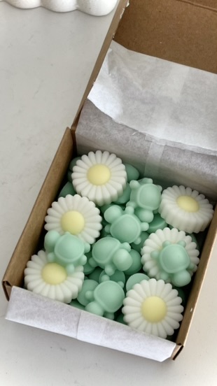 Pack Postales de Verano - Wax Melts - Imagen 4